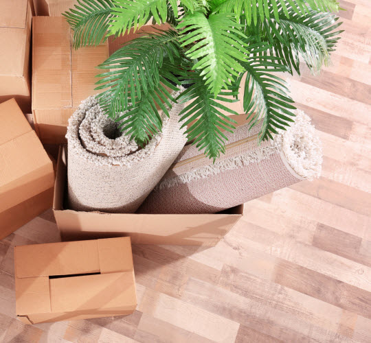 servicio de minibodegas costa rica