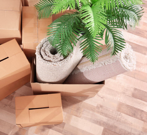 international moving company